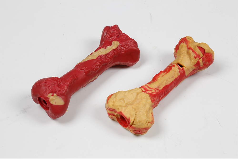 Pet Supplies